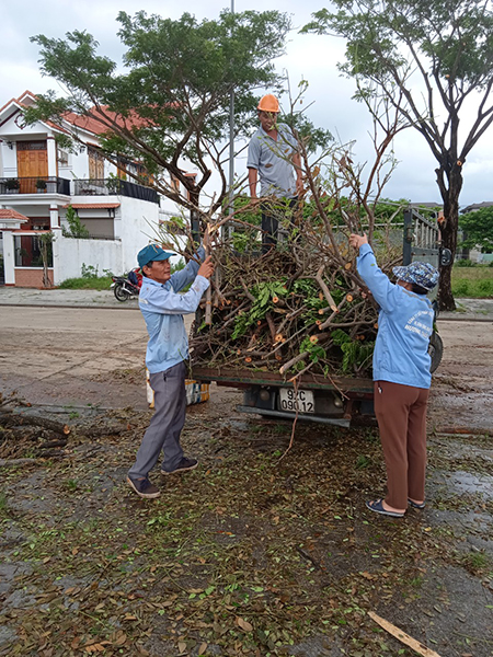 Chăm sóc và cắt tỉa cây xanh - HTA Group - Công Ty Cổ Phần Thương Mại Và Dịch Vụ Vệ Sinh Công Nghiệp Hương Thảo An